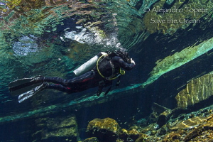 Diver in the suface, Las Estacas Mexico by Alejandro Topete 